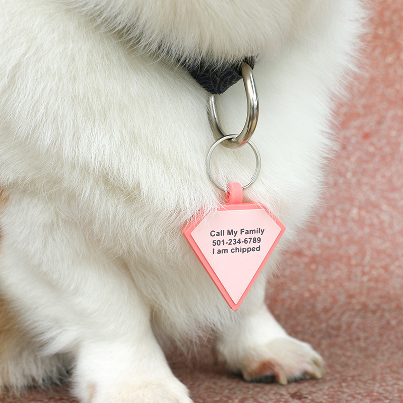 PAISEN Personalized Custom Dog Tags Engraved 3D QR Code Dogs Cat Collar Silicone Pet Tag