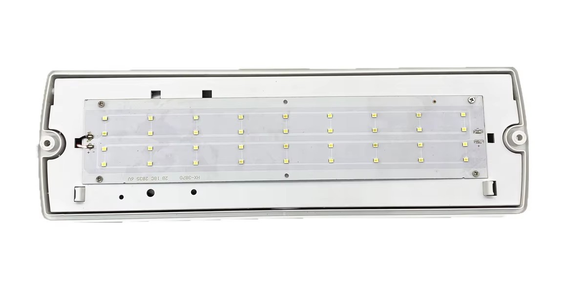 Emergency Led Lamps Manufacturer Supply Emergency Lighting Plastic Rechargeable Recessed IP65 Waterproof White Li-ion 60