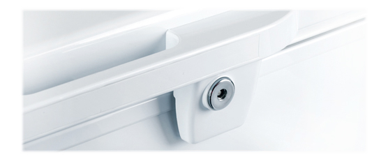BD-295 CHEST FREEZER