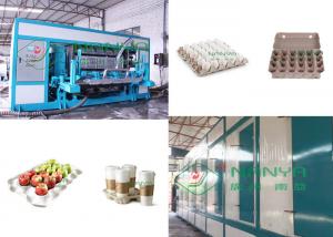 China Pulp Molded 600m2 Paper Egg Tray Manufacturing Machine on sale