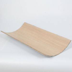 Fireproof And Flame Retardant HPL Honeycomb Panel For Toilet Partition