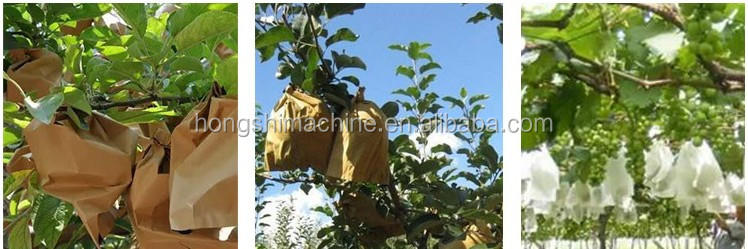 Mango Fruit Protection Paper Bag Making Machine , 2cm To 35cm Paper Pouch Making Machine