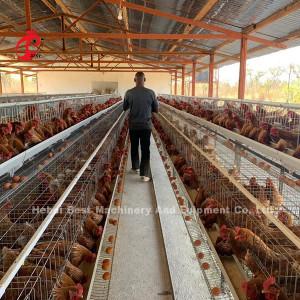 China Uganda 4 Tiers  Poultry Layer Cage For Sale Farm Chicken 100 KG Mia on sale