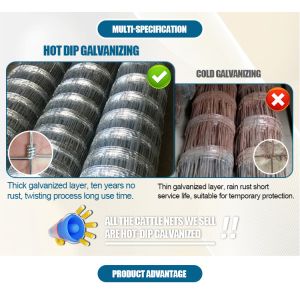 Customized Main Iron Gate Designs High Grade Design Silver 6Ft 7Ft Hinge Joint