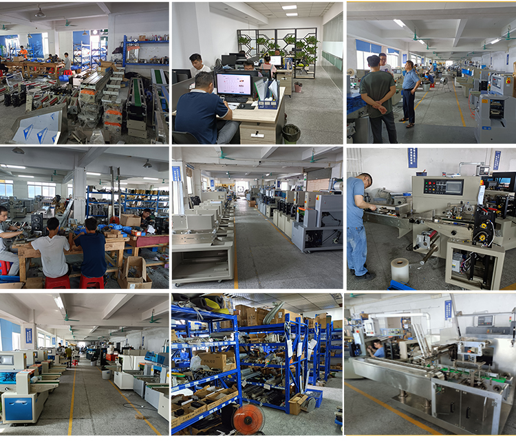 100g Liquid Packaging Machine 60bags/min High Speed Chili Flakes