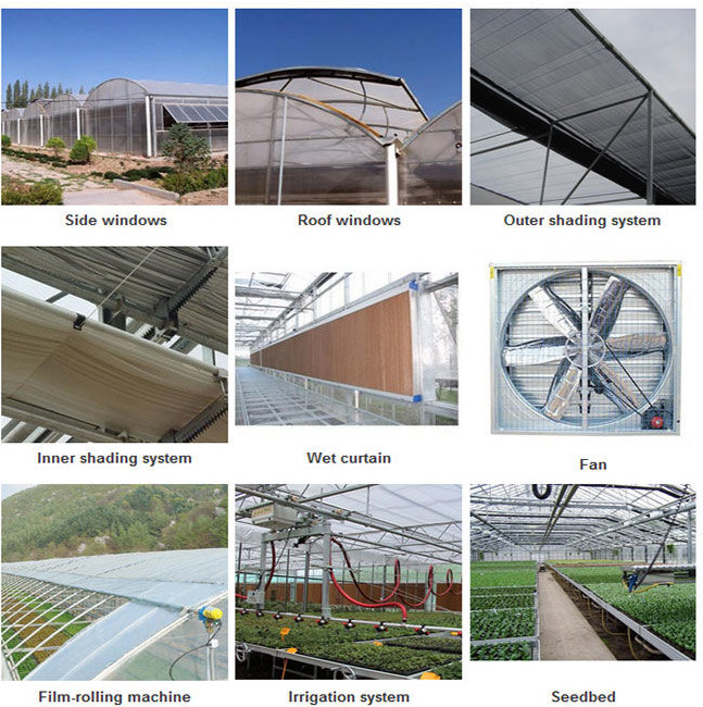Section 4m Commercial Glass Greenhouse Exquisite Beautiful Galvanized Steel Frame