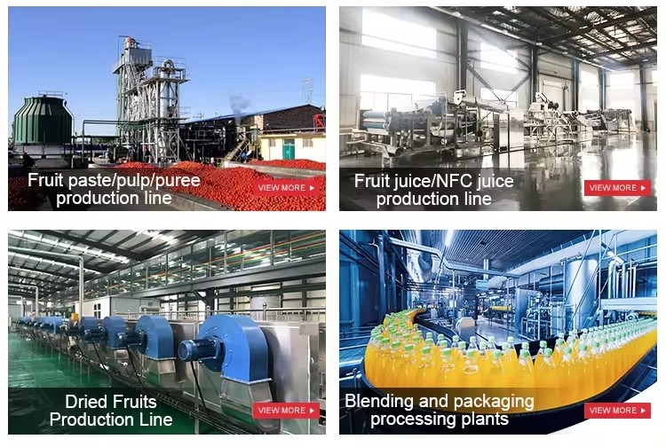 Automatic Apple Fruit Drink Production Line Special Machine For Juice Processing Plant