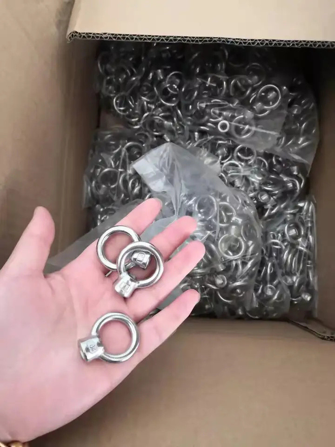 Eye Bolts Nuts for Heavy Load and Stress Applications ISO 8.8 High-Strength