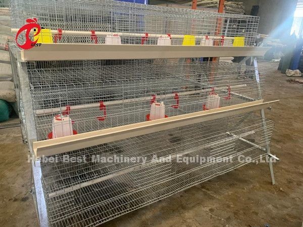 Q235 Poultry Farming Cage System Baby Chicks Brooder Steel Wire Emily