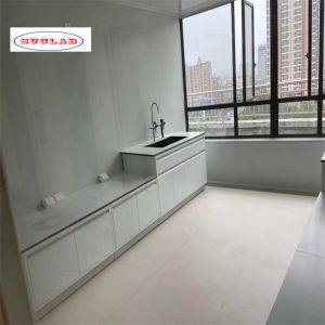 Customizable Chemistry Lab Furniture Laboratory Workbench For Storage PP