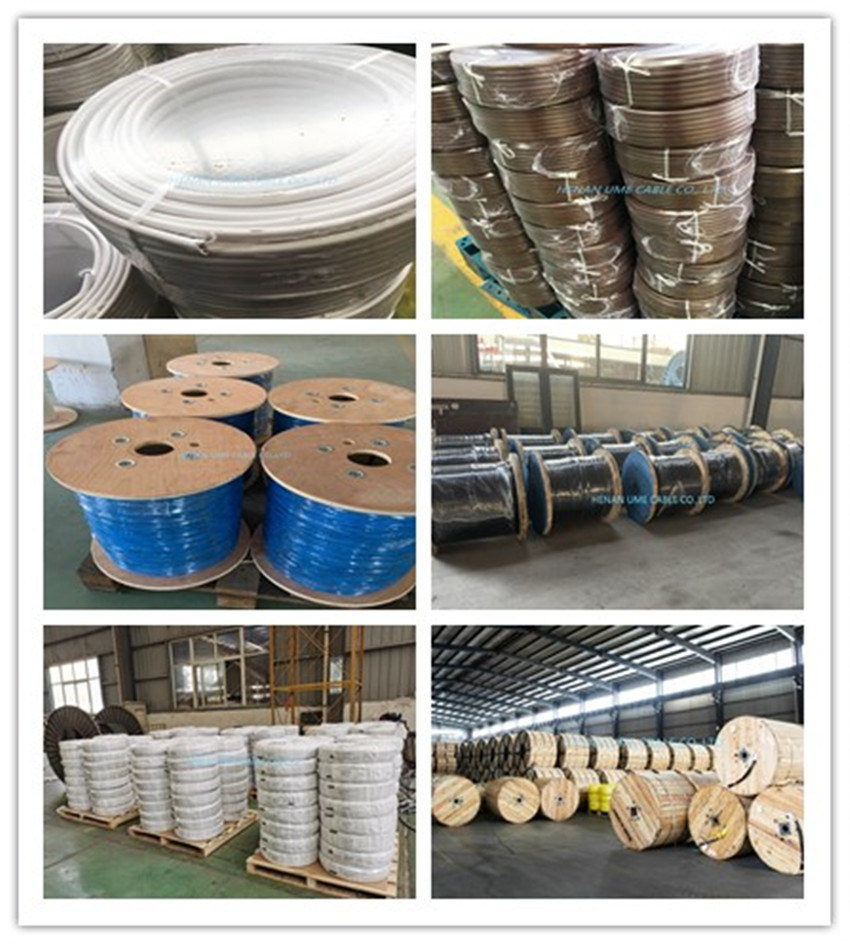 BS 6004 6242y Bare Copper Wire BVVB Flat Twin and Earth Electric Cable TPS Electrical Cable
