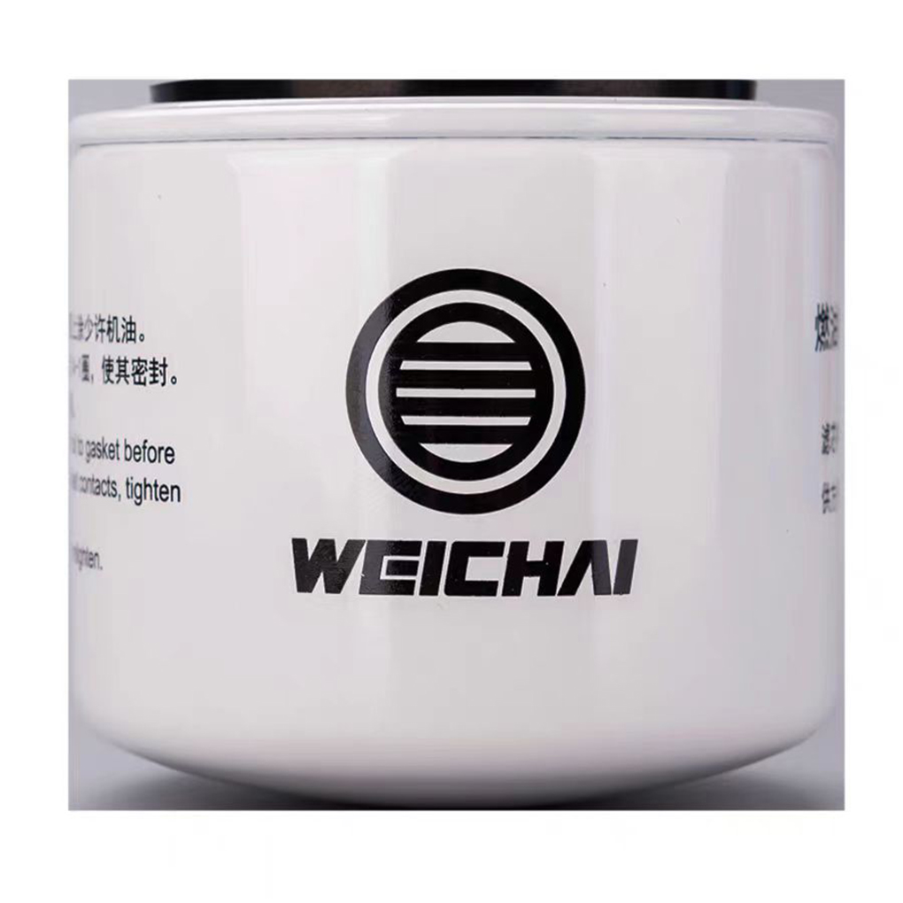Auto Oil Filter1000002416 Diesel Filter1000349720a Fuel Filter for Shacman Car Fitment
