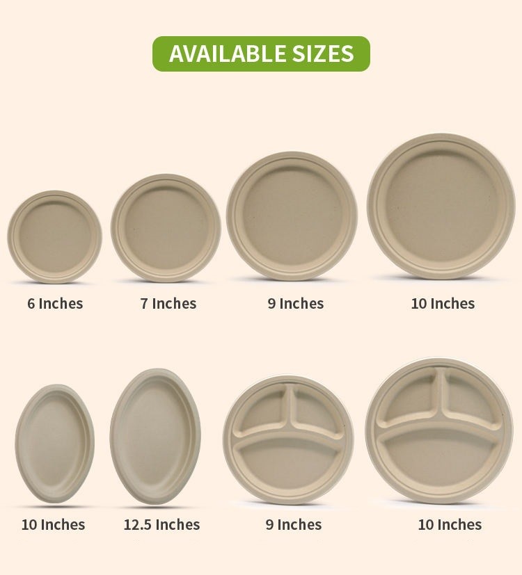 10 Inch * 3Gird Bagasse Round Plate Compostable Sugarcane Plates