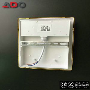 20Watt 2000LM Outside Bulkhead Lights With Radar Sensor