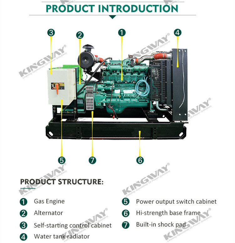 Silent NG Genaratort Top Quality LPG 50HZ 60HZ Generator Powered Silent Generator Direct Factory Supplier
