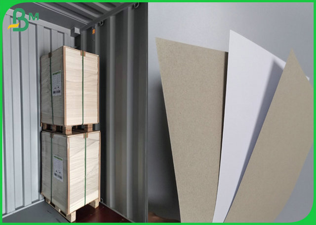 300g Good Strength White Horse Paper Sheet Grey Back For Packing Box