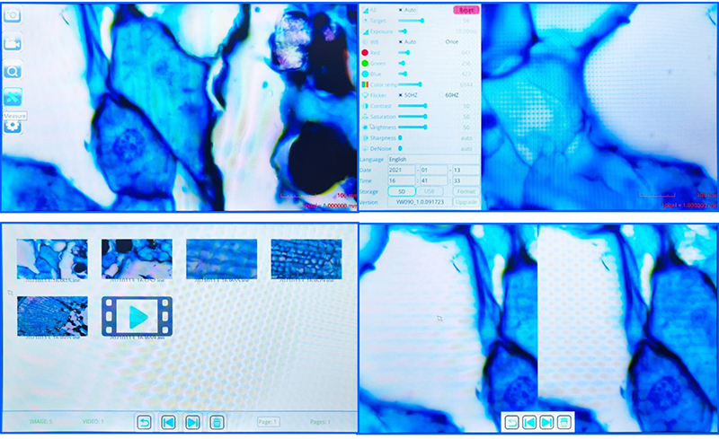 Portable 1600x Magnification 2.0x2.0um Digital Lcd Microscope