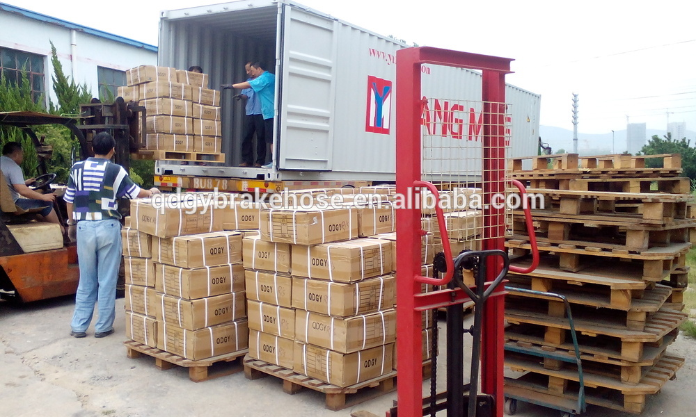 DOT SAE J1401 steel crimped Eye fitting for brake hose