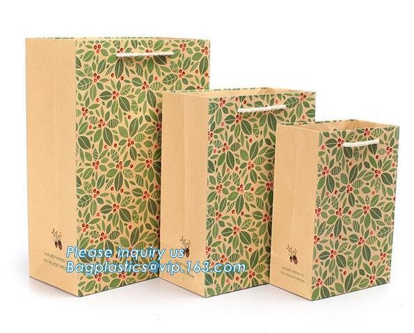 Luxury Paper Gift Carrier Shopping Bag Party Bag with Handles,printed paper carrier bag for apparel shopping bag, bageas