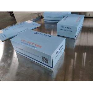0.4Mpa Manual Box Packing Machine , Quick Transition Enclosed Corrugated Box