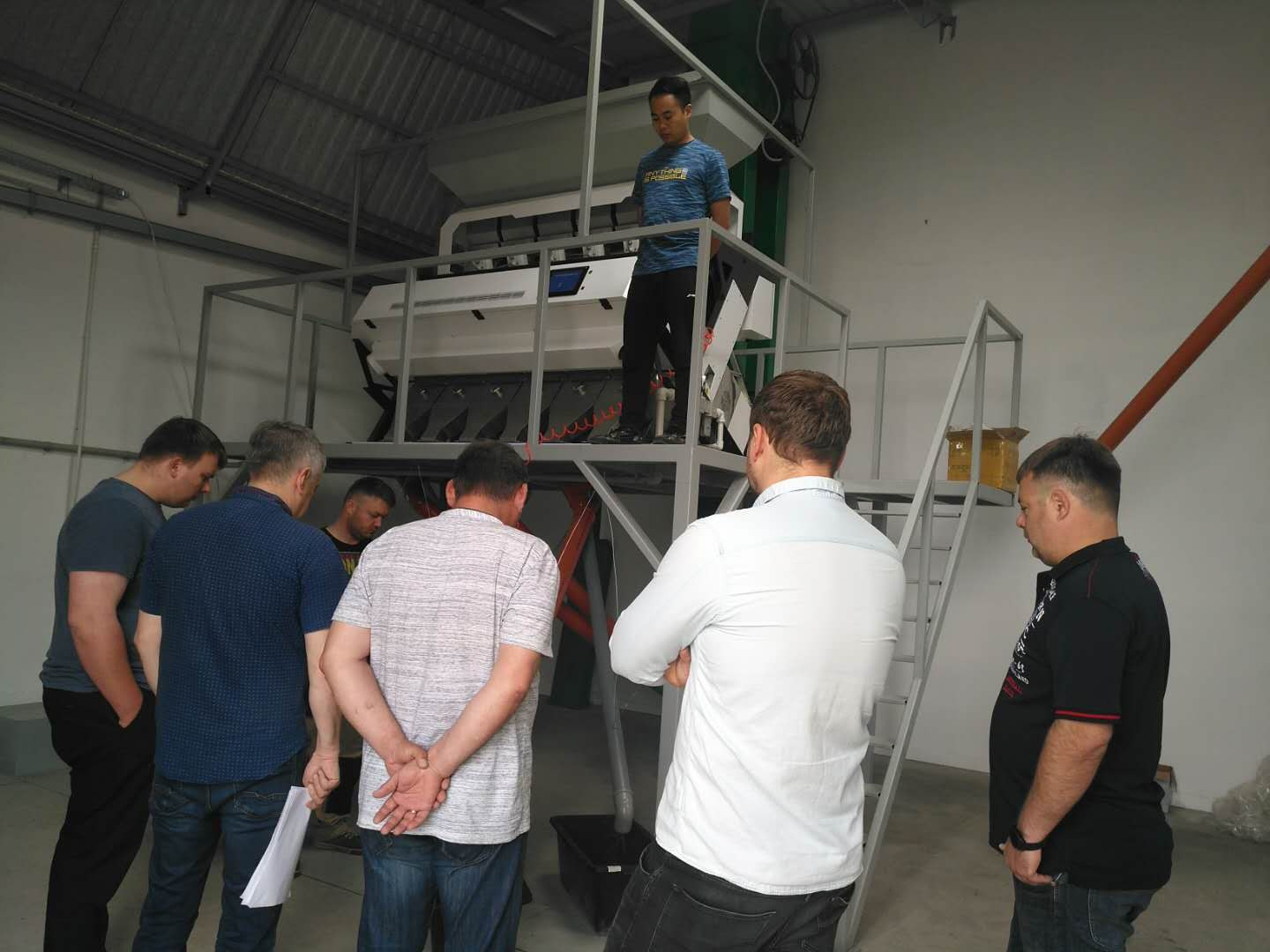 High Accuracy CCD Optical Multifunction Garlic Color Separator Popular In Brazil