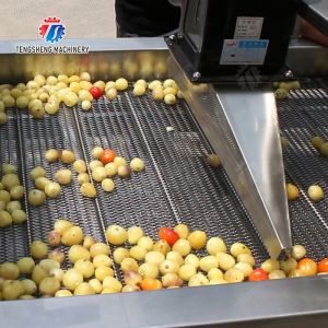 Large-scale fruit and vegetable washing,drying and cutting production line Fruit