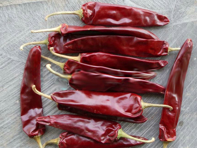 Jinta Sweet Pepper Paprika Dried Chile Guajillo Spicy 15% Moisture