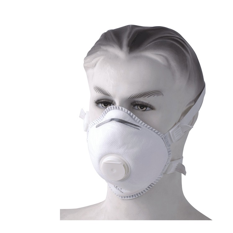 DM027V Non-Woven Fabric EN149 FFP2 Dust Face Masks with Valves Earloop