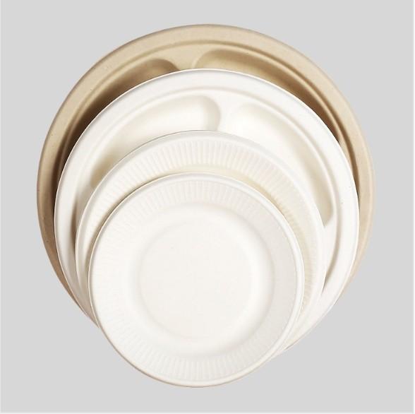 Environmental Friendly Degradable Disposables Dinnerware Tableware Compostable
