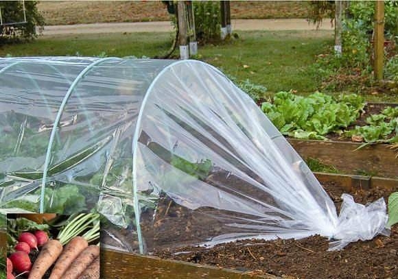 Transparent Low Tunnel Film Perforated For Culture Of Seedling Maturing Vegetables perforated red plastic mulch