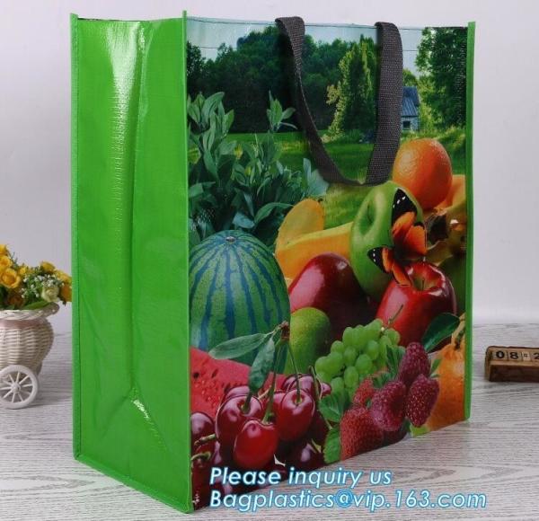 Eco Friendly Custom Logo Printing PP Woven Laminated Foldable Shopping Bag