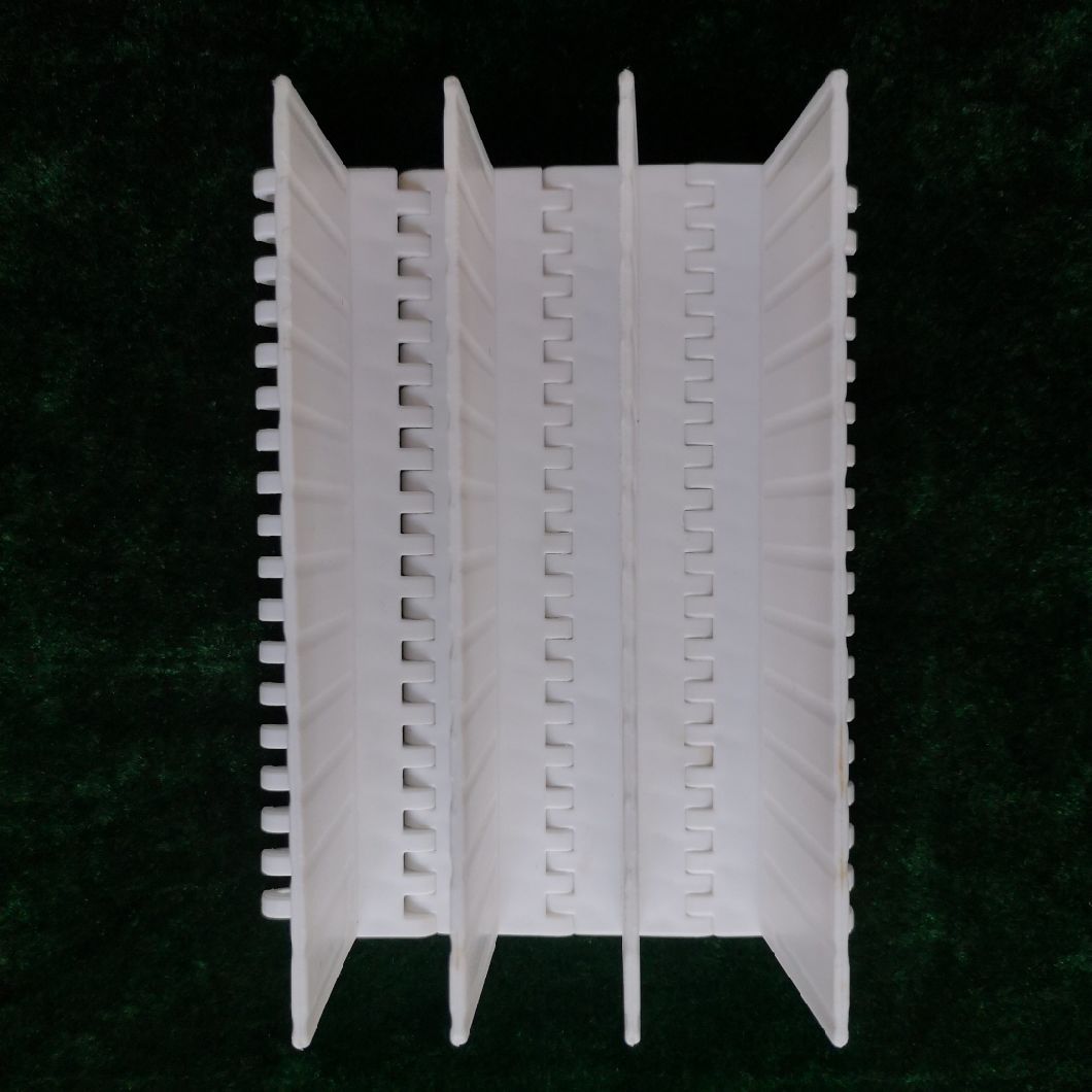 1000 Series with 25.4mm Pitch Plastic Conveyor Modular Belt