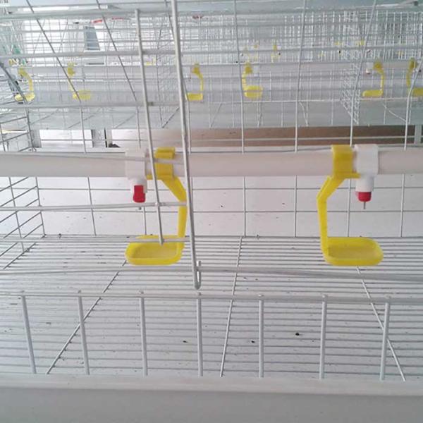 Custom Commercial Meat Chicken Cages, Durable Chick Breeding Cage