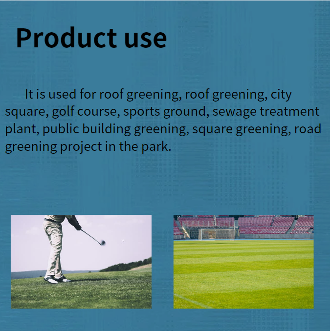 Modern Design Black Green HDPE Impounding Drainage Cell Mat Board for Drainage System