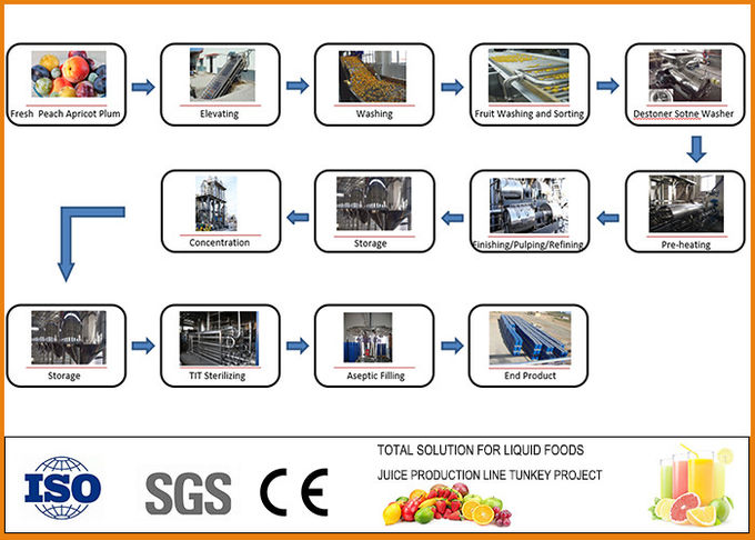 CFM-B-035T/H Fruit Juice Production Line turnkey Peach Apricot And Plum