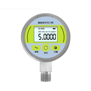 Flexible and Convenient YK-80 Intelligent Digital Pressure Gauge for Various