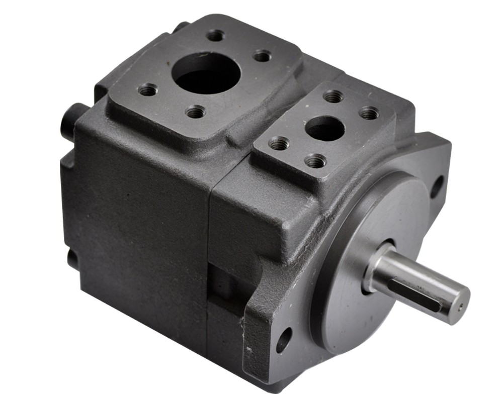 Denison T6C T6D T6E Rotary Vane Vacuum Pump for Marine Machine