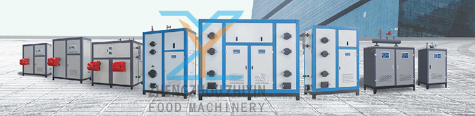 200kg Biomass Particles Steam Generator Soy Products Vegetable Dehydration Drying Smoke Furnace Steam Engine