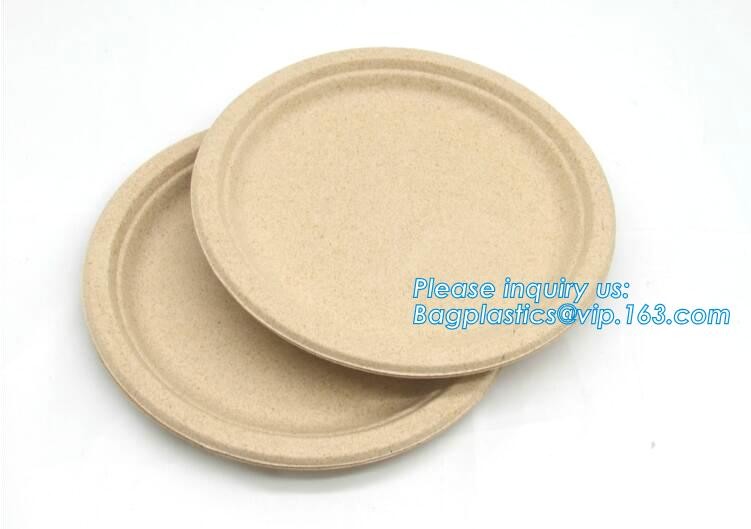 Meal Prep Containers Free Sample Bento Lunch Box Biodegradable Food Container Plastic Wheat Straw Lunch Box bagplastics