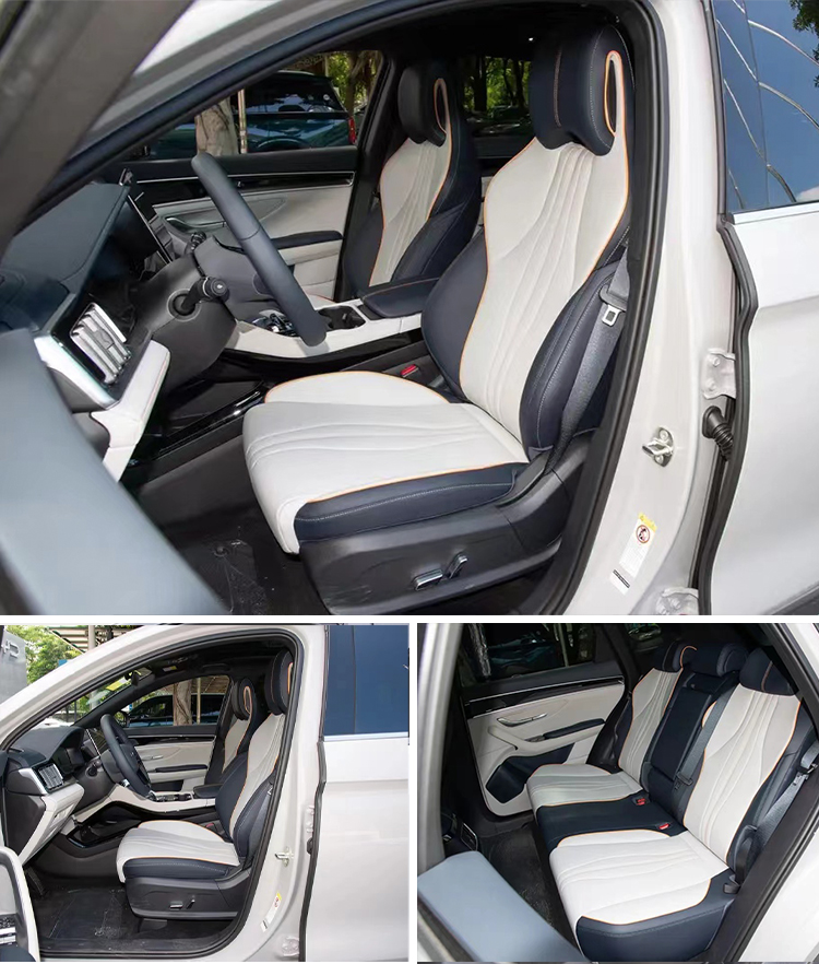 Electric Vehicles Byd Electric Car 23 and BYD Song Plus 5-Seater Pure Electric SUVs