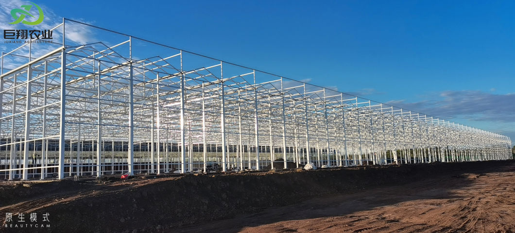 Gothic Type Hot DIP Galvanzied Steel Frame Greenhouse for Growing Tomato
