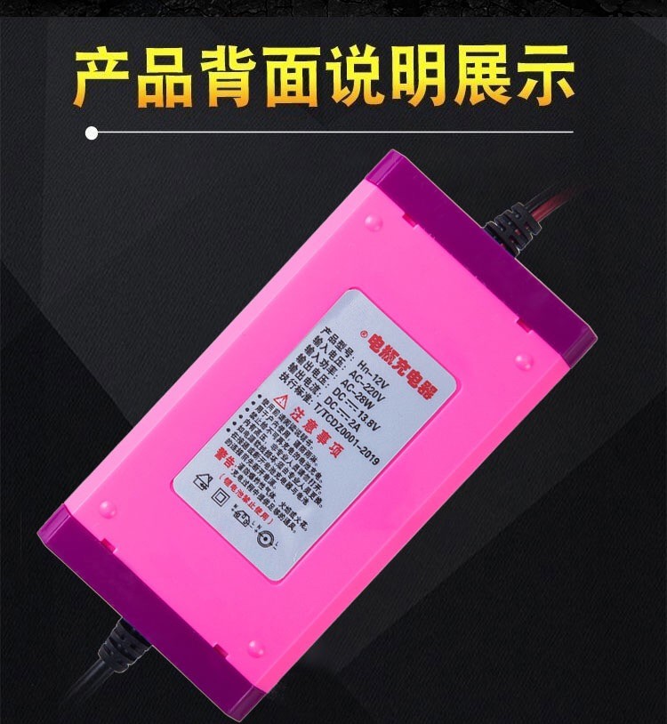 Portable 12V Lead Acid Battery Chargers For Universal EV Golf Car