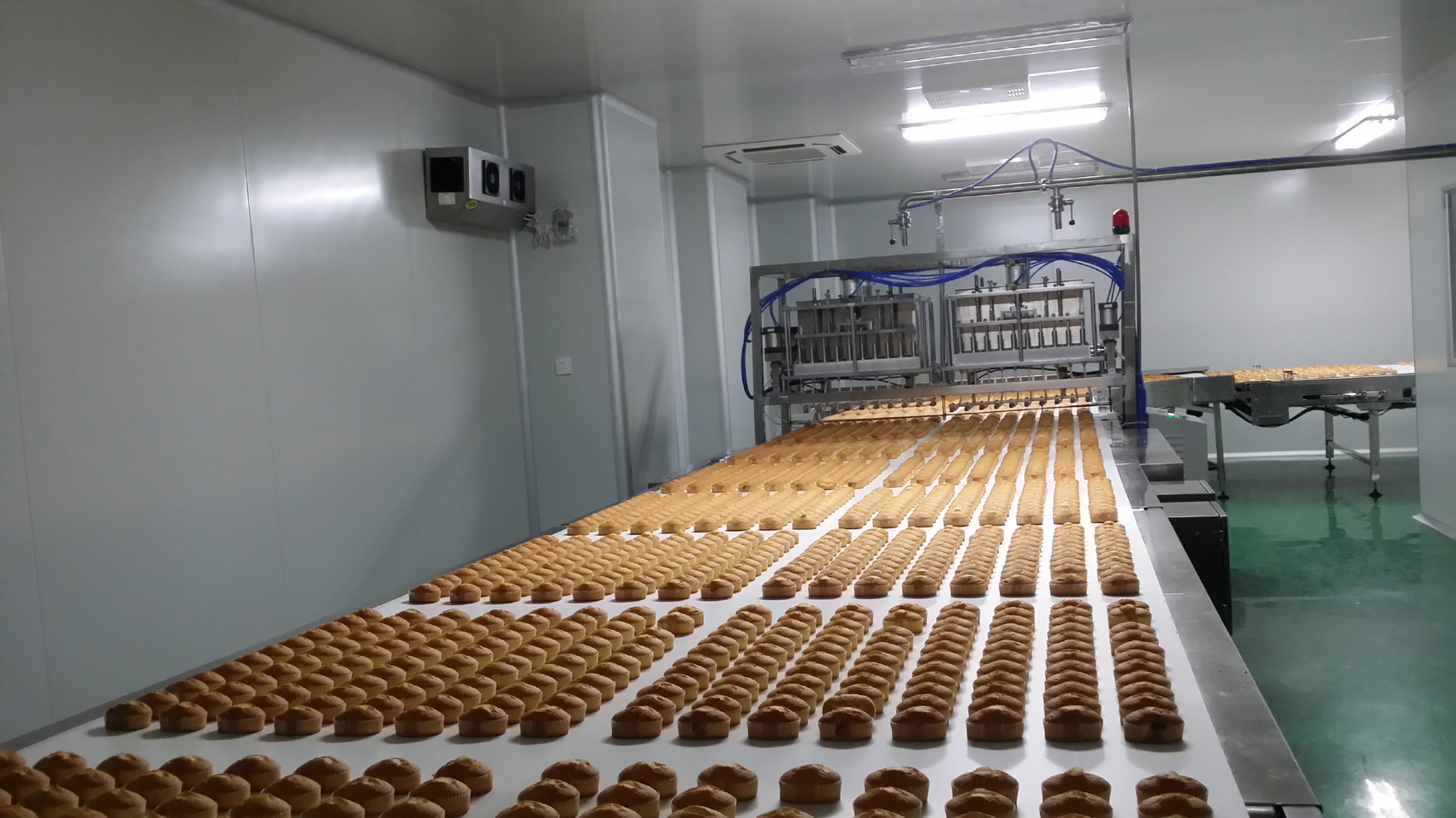 Independent Controlled FDA SUS304 Food Industry Conveyors