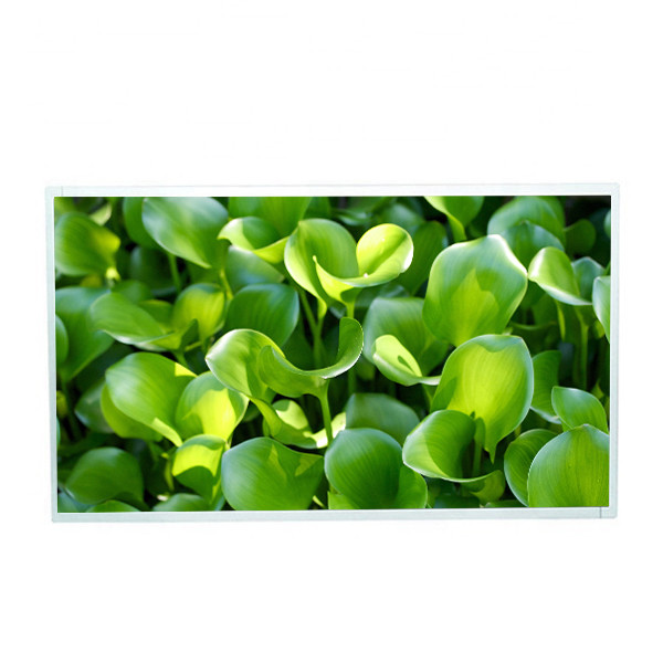 China M215HJJ-L30 Rev.C5 1920*1080 Resolution ips screen 21.5 inch TFT LCD lcd display for touch screen display kiosk on sale China M215HJJ-L30 Rev.C5 1920*1080 Resolution ips screen 21.5 inch TFT LCD lcd display for touch screen display kiosk on sale