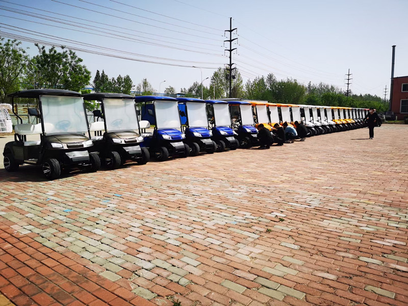 Left Hand Drive Electric Golf Buggy Lithium Battery Operated Golf Carts 2-10 Seats