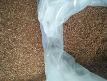 High Accuracy And High Capacity 2 Chute 128 Channels Rice Color Sorting Machine