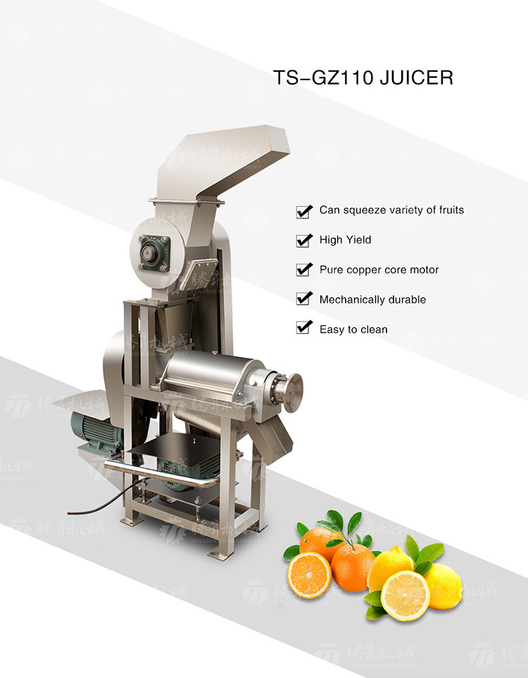 Fruit And Vegetable Juicer Single Screw Juicer Large Press