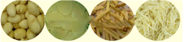 100kg commercial potato peeling cutting machine french fries cutter potato chips slicer