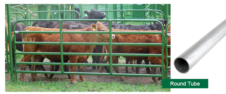 Welded Netting Manufacture Supplier 2x2 Galvanized Cattle Welded Wire Mesh Panel