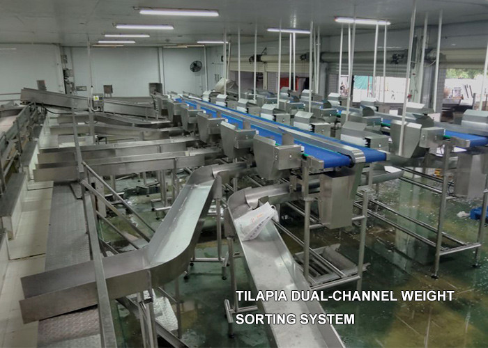 Waterproof 12 Grades Multihweight Sorter Machine For Fresh Food Fish / Sausage / Yolk